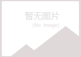 青岛黄岛白易会计有限公司